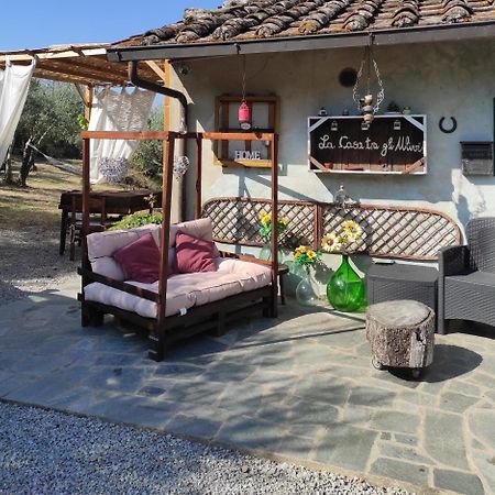 コルトーナ La Casa Tra Gli Ulivi Bed & Breakfast エクステリア 写真