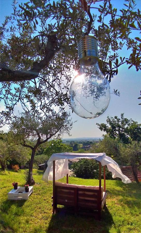 コルトーナ La Casa Tra Gli Ulivi Bed & Breakfast エクステリア 写真