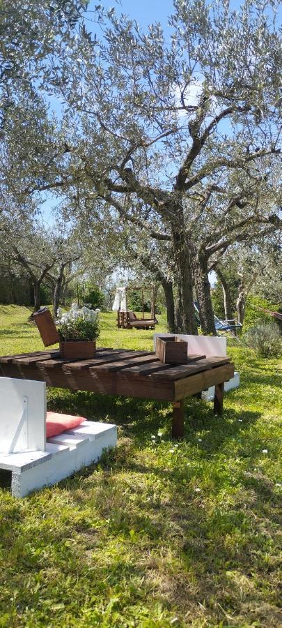 コルトーナ La Casa Tra Gli Ulivi Bed & Breakfast エクステリア 写真