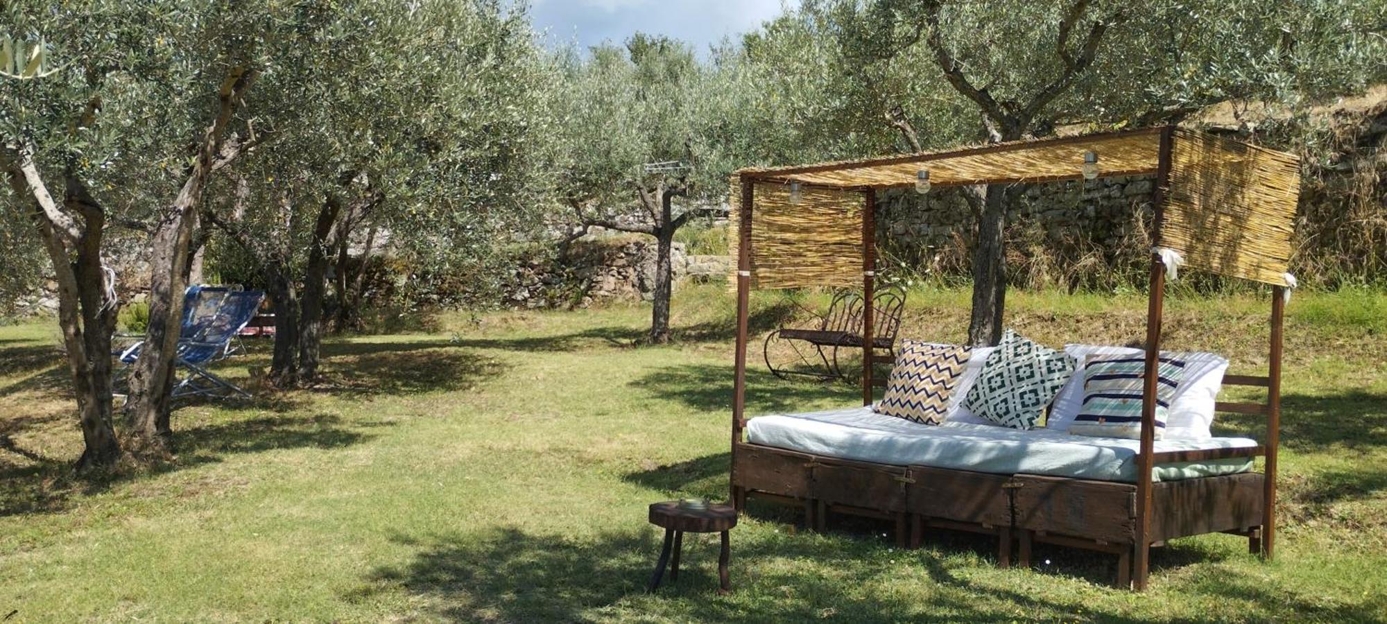 コルトーナ La Casa Tra Gli Ulivi Bed & Breakfast エクステリア 写真