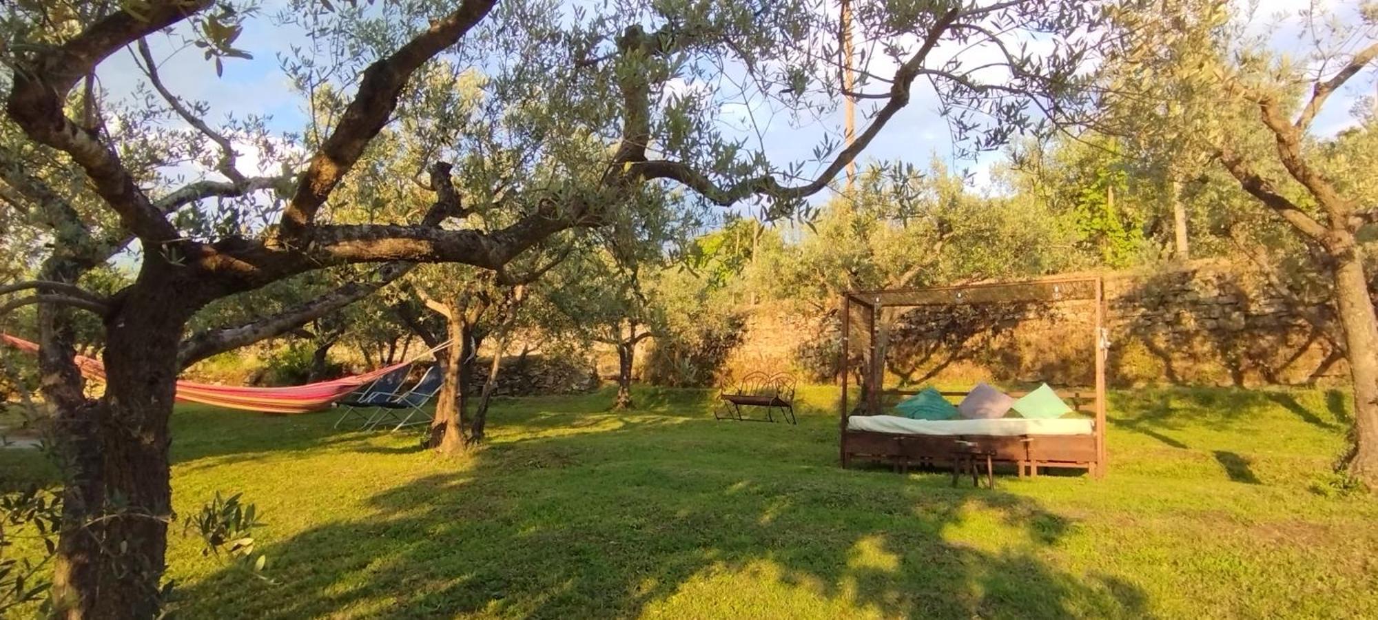 コルトーナ La Casa Tra Gli Ulivi Bed & Breakfast エクステリア 写真