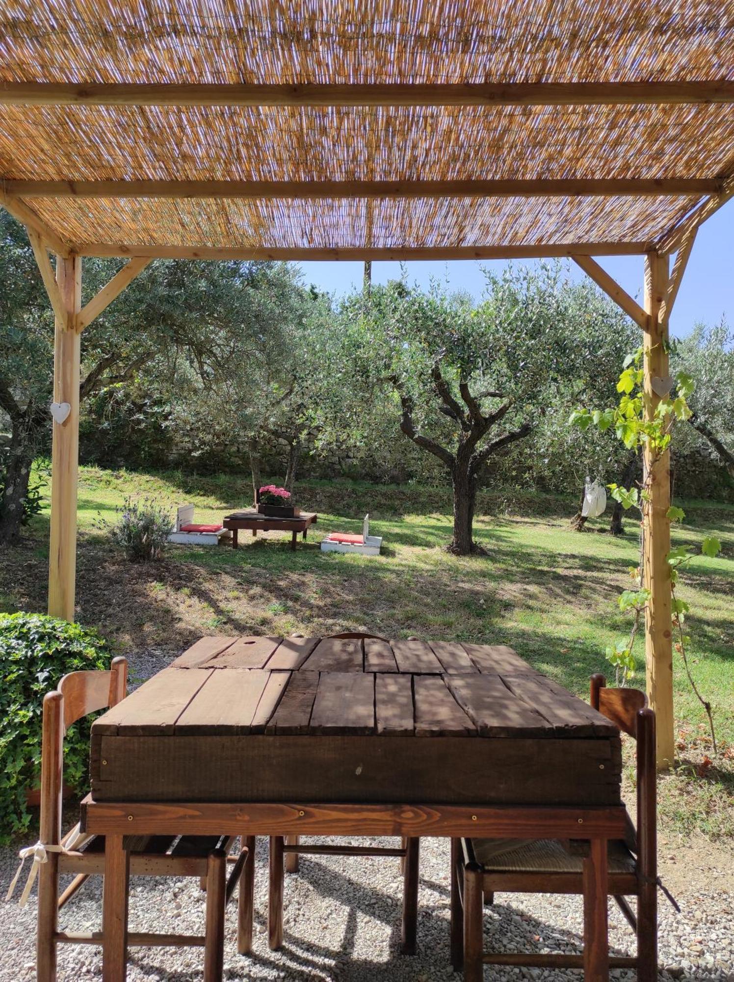コルトーナ La Casa Tra Gli Ulivi Bed & Breakfast エクステリア 写真